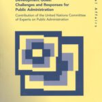 خرید و دانلود نسخه کامل کتاب Implementing the Millennium  Development Goals: Challenges and Responses for Public AdministrationContribution of the United Nations Committee of …