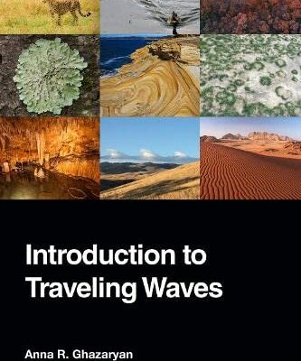 خرید و دانلود نسخه کامل کتاب Introduction to Traveling Waves