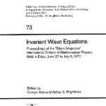 خرید و دانلود نسخه کامل کتاب Invariant Wave Equations