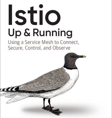 خرید و دانلود نسخه کامل کتاب Istio: Up and Running: Using a Service Mesh to Connect, Secure, Control, and Observe