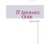 خرید و دانلود نسخه کامل کتاب IT Assurance Guide: Using COBIT