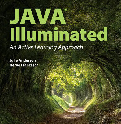 خرید و دانلود نسخه کامل کتاب Java Illuminated: An Active Learning Approach, 6th Edition