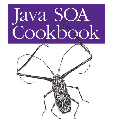 خرید و دانلود نسخه کامل کتاب Java Soa Cookbook