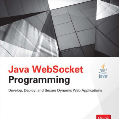 خرید و دانلود نسخه کامل کتاب Java WebSocket Programming