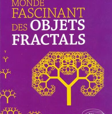 خرید و دانلود نسخه کامل کتاب Le monde fascinant des objets fractals