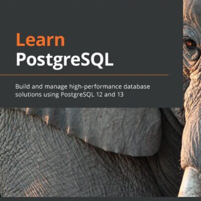 خرید و دانلود نسخه کامل کتاب Learn PostgreSQL: Build and manage high-performance database solutions using PostgreSQL 12 and 13