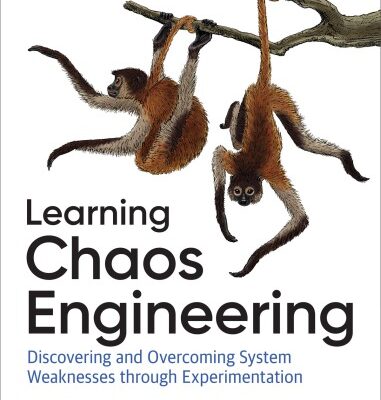 خرید و دانلود نسخه کامل کتاب Learning Chaos Engineering: Discovering and Overcoming System Weaknesses Through Experimentation