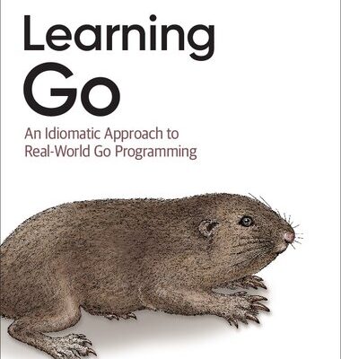 خرید و دانلود نسخه کامل کتاب Learning Go: An Idiomatic Approach to Real-World Go Programming