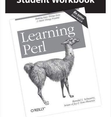 خرید و دانلود نسخه کامل کتاب Learning Perl Student Workbook