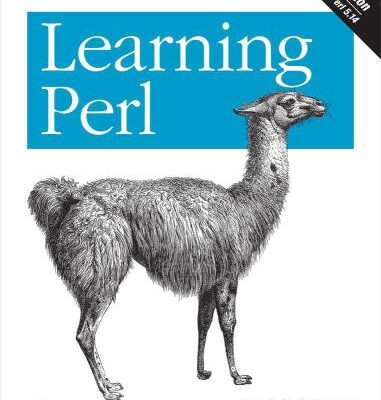 خرید و دانلود نسخه کامل کتاب Learning Perl