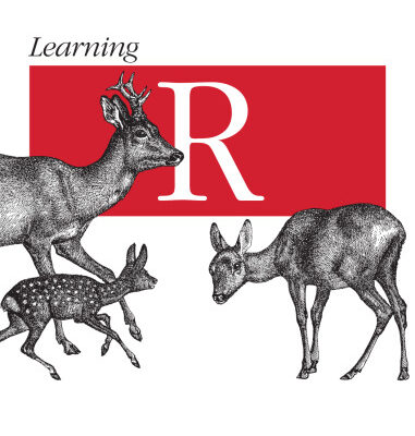 خرید و دانلود نسخه کامل کتاب Learning R