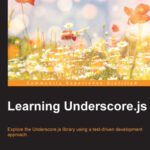 خرید و دانلود نسخه کامل کتاب Learning Underscore.js: Explore the Underscore.js library by example using a test-driven development approach