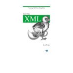خرید و دانلود نسخه کامل کتاب Learning XML