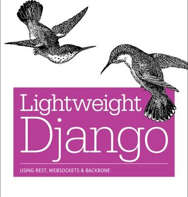 خرید و دانلود نسخه کامل کتاب Lightweight Django: Using Rest, Websockets, and Backbone