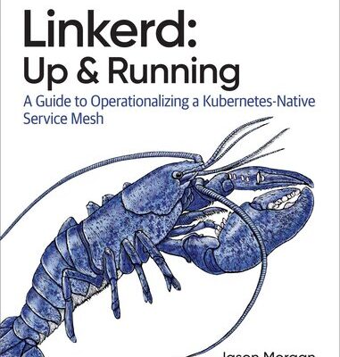خرید و دانلود نسخه کامل کتاب Linkerd: Up and Running: A Guide to Operationalizing a Kubernetes-Native Service Mesh