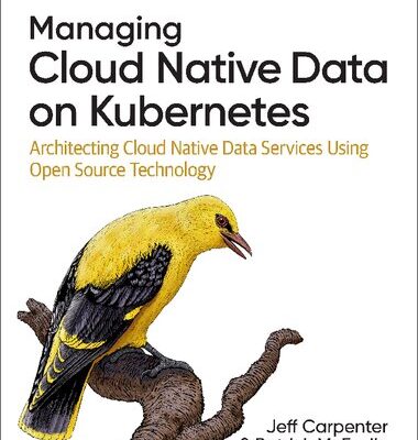 خرید و دانلود نسخه کامل کتاب Managing Cloud Native Data on Kubernetes: Architecting Cloud Native Data Services Using Open Source Technology
