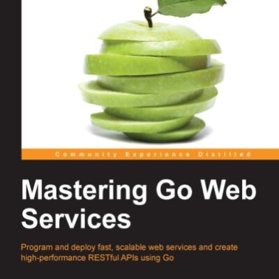 خرید و دانلود نسخه کامل کتاب Mastering Go Web Services