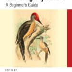خرید و دانلود نسخه کامل کتاب Mastering Objective-C: A Beginner’s Guide