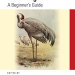 خرید و دانلود نسخه کامل کتاب Mastering Perl: A Beginner’s Guide (Mastering Computer Science)
