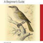 خرید و دانلود نسخه کامل کتاب Mastering SQL: A Beginner’s Guide