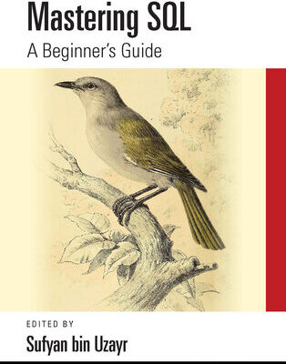 خرید و دانلود نسخه کامل کتاب Mastering SQL: A Beginner’s Guide