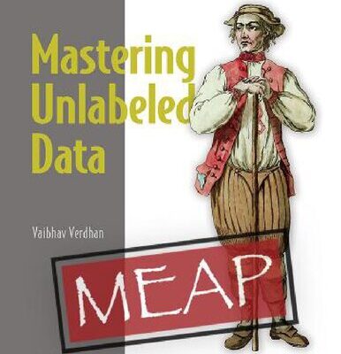 خرید و دانلود نسخه کامل کتاب Mastering Unlabeled Data – MEAP V06