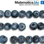 خرید و دانلود نسخه کامل کتاب Matematica.blu – Volume 2 – Algebra, Geometria, Probabilità