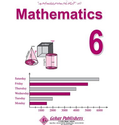 خرید و دانلود نسخه کامل کتاب Maths / Math 6