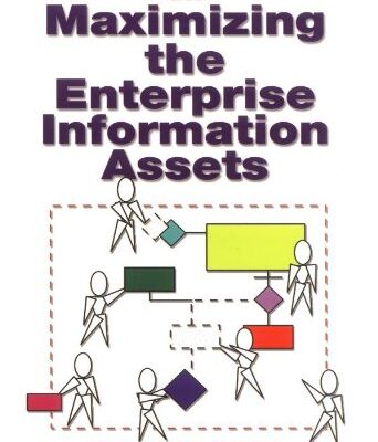 خرید و دانلود نسخه کامل کتاب Maximizing The Enterprise Information Assets