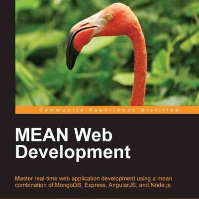 خرید و دانلود نسخه کامل کتاب MEAN Web Development