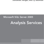 خرید و دانلود نسخه کامل کتاب Microsoft SQL server 2005 analysis services