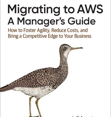 خرید و دانلود نسخه کامل کتاب Migrating to AWS: A Manager’s Guide: How to Foster Agility, Reduce Costs, and Bring a Competitive Edge to Your Business