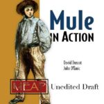 خرید و دانلود نسخه کامل کتاب Mule in Action
