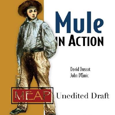 خرید و دانلود نسخه کامل کتاب Mule in Action