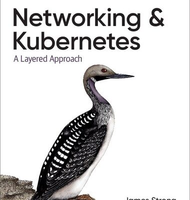 خرید و دانلود نسخه کامل کتاب Networking and Kubernetes: A Layered Approach