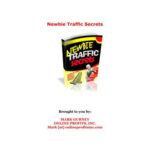 خرید و دانلود نسخه کامل کتاب Newbie Traffic Secrets