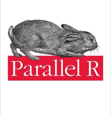 خرید و دانلود نسخه کامل کتاب Parallel R