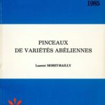 خرید و دانلود نسخه کامل کتاب Pinceaux de variétés abéliennes