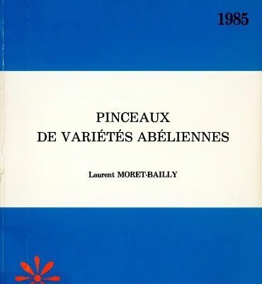 خرید و دانلود نسخه کامل کتاب Pinceaux de variétés abéliennes