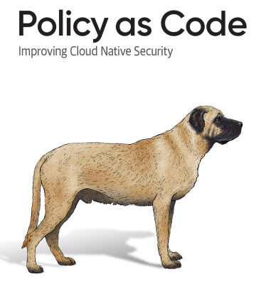خرید و دانلود نسخه کامل کتاب Policy as Code: Improving Cloud Native Security