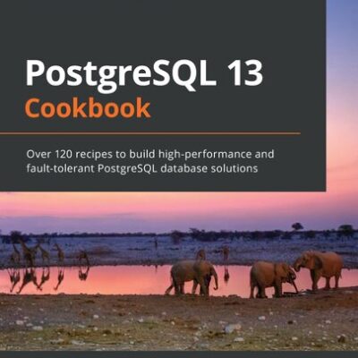 خرید و دانلود نسخه کامل کتاب PostgreSQL 13 Cookbook: Over 120 recipes to build high-performance and fault-tolerant PostgreSQL database solutions