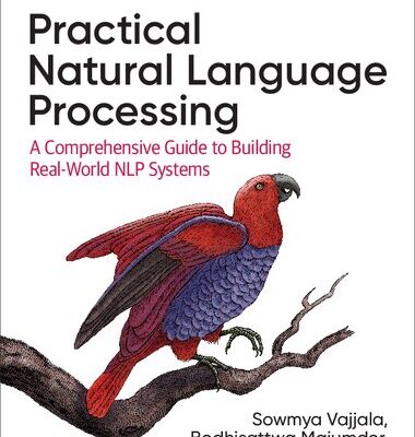 خرید و دانلود نسخه کامل کتاب Practical Natural Language Processing: A Comprehensive Guide to Building Real-World NLP Systems