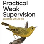خرید و دانلود نسخه کامل کتاب Practical Weak Supervision: Doing More with Less Data