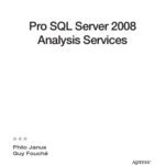 خرید و دانلود نسخه کامل کتاب Pro SQL Server 2008 Analysis Services