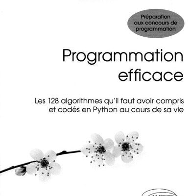 خرید و دانلود نسخه کامل کتاب Programmation efficace