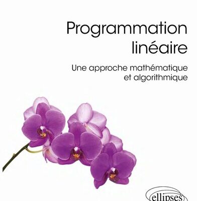 خرید و دانلود نسخه کامل کتاب Programmation linéaire