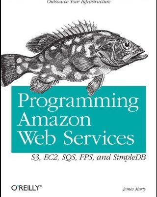 خرید و دانلود نسخه کامل کتاب Programming Amazon Web Services: S3, EC2, SQS, FPS, and SimpleDB