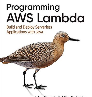 خرید و دانلود نسخه کامل کتاب Programming AWS Lambda: Build and Deploy Serverless Applications with Java