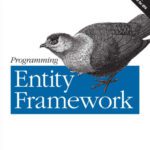 خرید و دانلود نسخه کامل کتاب Programming Entity Framework, 2nd Edition