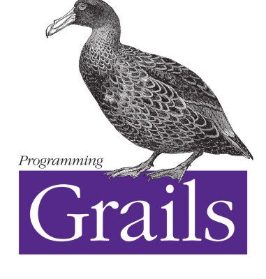 خرید و دانلود نسخه کامل کتاب Programming Grails